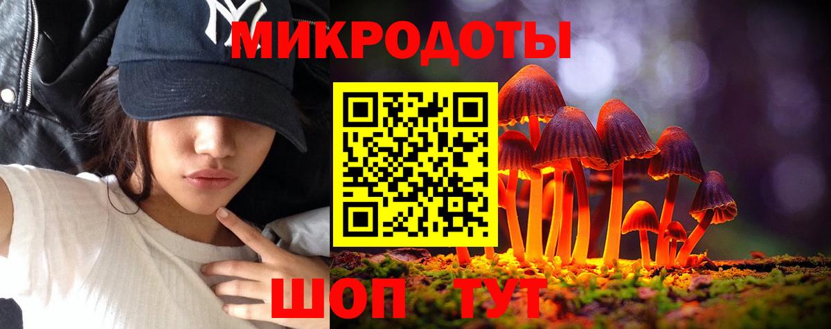 Псилоцибиновые грибы Psilocybine cubensis  Вход с VPN  Гатчина 