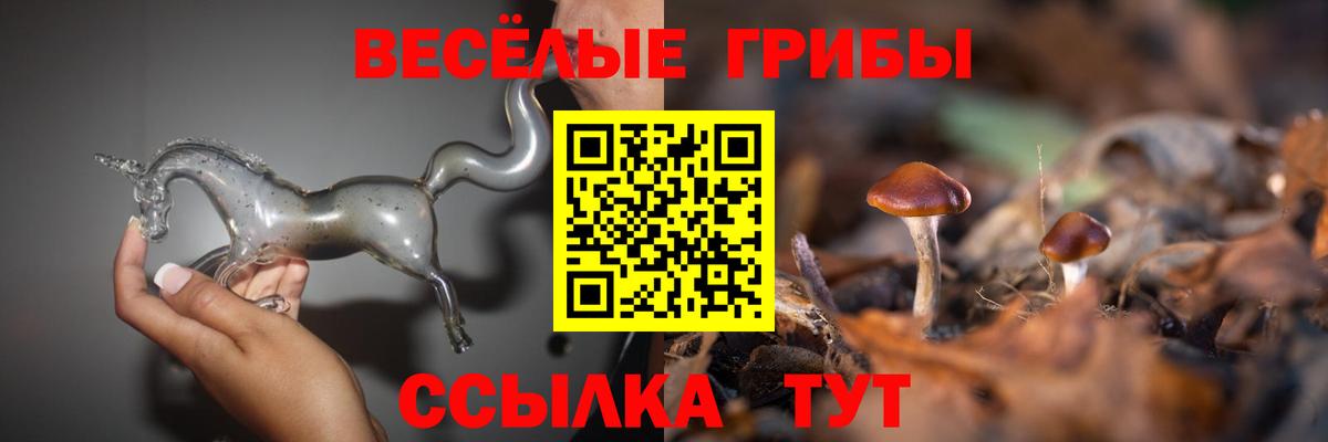 Псилоцибиновые грибы GOLDEN TEACHER Гатчина